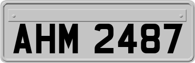 AHM2487