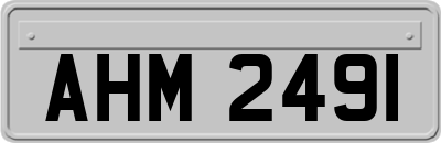 AHM2491