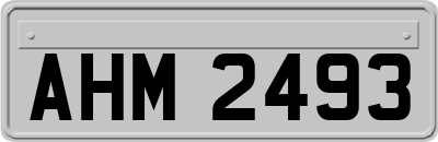 AHM2493