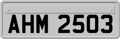 AHM2503