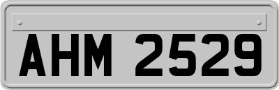 AHM2529