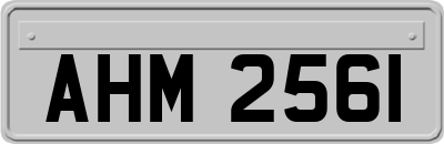 AHM2561