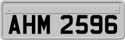 AHM2596