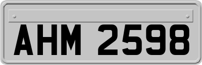 AHM2598