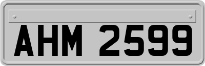 AHM2599