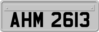 AHM2613