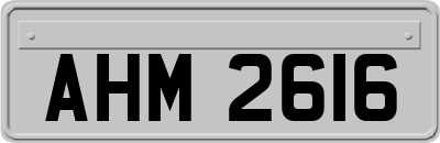AHM2616