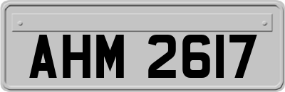AHM2617