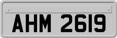 AHM2619