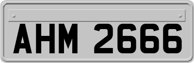AHM2666