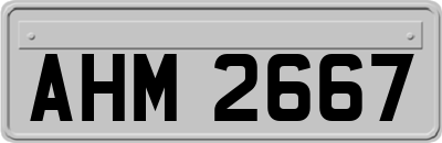 AHM2667