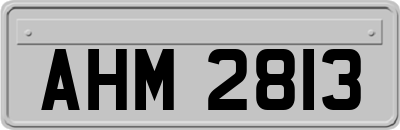 AHM2813