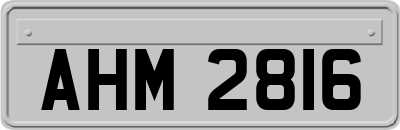 AHM2816