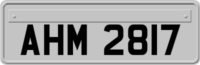 AHM2817