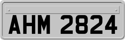 AHM2824
