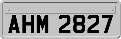 AHM2827