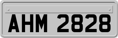 AHM2828