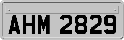 AHM2829