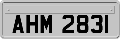 AHM2831