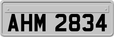 AHM2834