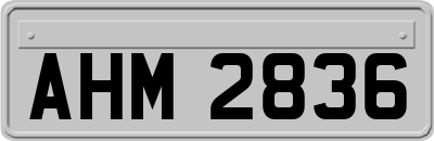 AHM2836