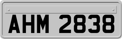AHM2838