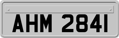 AHM2841