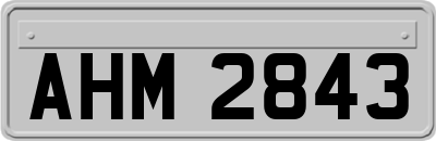 AHM2843