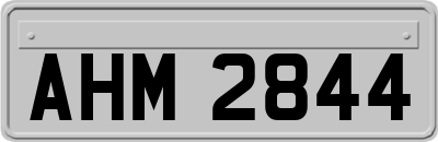 AHM2844