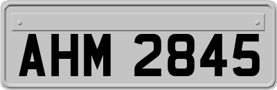 AHM2845