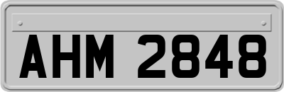 AHM2848