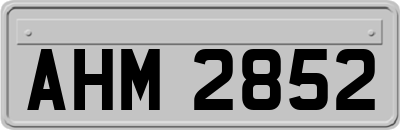 AHM2852