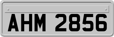 AHM2856