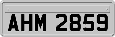 AHM2859