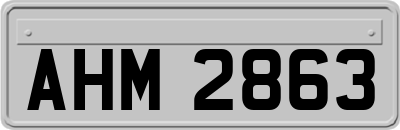 AHM2863