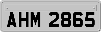 AHM2865