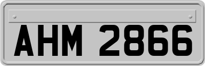 AHM2866