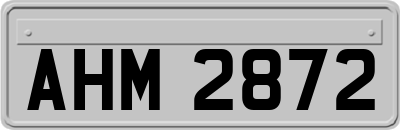 AHM2872