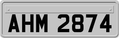 AHM2874