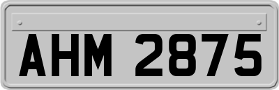 AHM2875