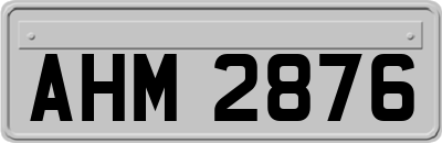 AHM2876