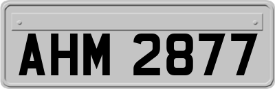 AHM2877