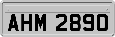 AHM2890