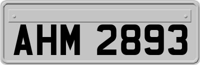AHM2893