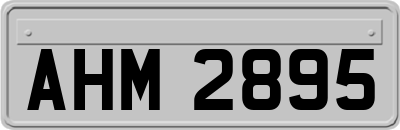 AHM2895