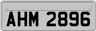 AHM2896
