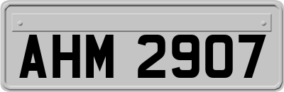 AHM2907