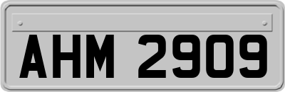 AHM2909