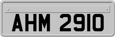 AHM2910