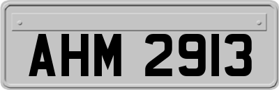 AHM2913